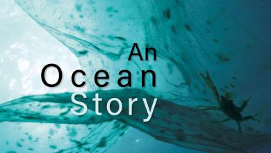 An Ocean Story